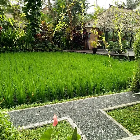 Maple House Apartment Ubud  Exterior photo