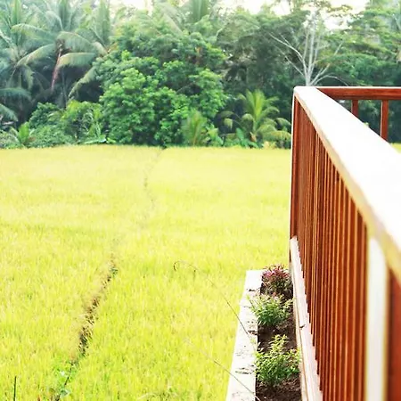 Maple House Apartment Ubud  Exterior photo