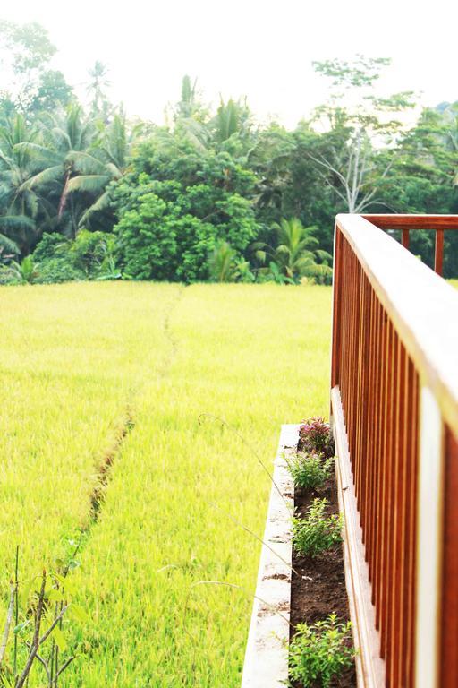 Maple House Homestay *